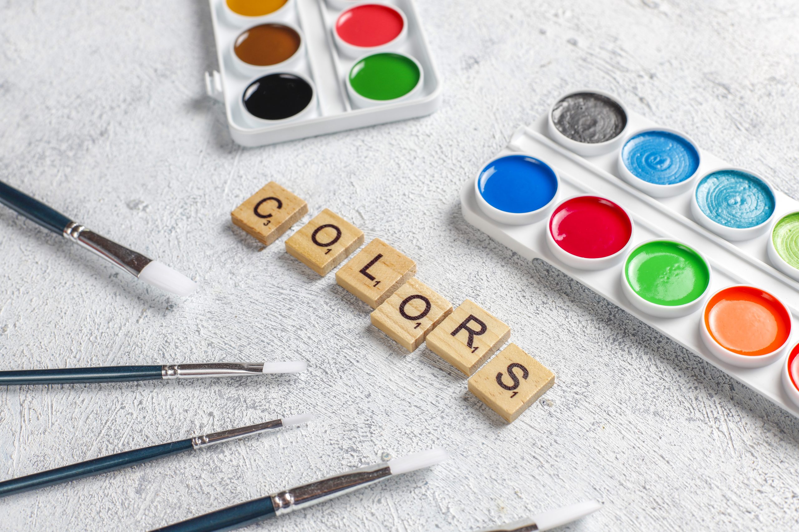 Psychology Behind Logo Colors and Shapes in Branding
